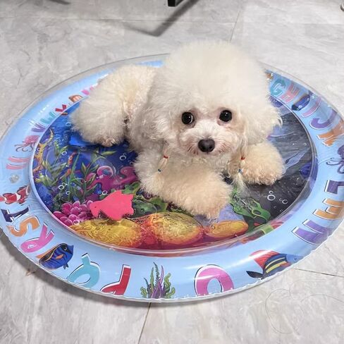 Cat Water Mat for Dogs - 2 Pack, Upgraded Thicken Unbreakable Cat Splash Play Mat, Circle Innovative Water Sensor Mat for Dogs for Endless Self Play in Saudi Arabia