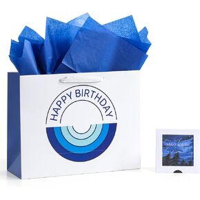 Amvivet 13" Birthday Gift Bag with Special Handmade Card and Tissue Paper Birthday Bag for Men Boys (It’s Your Birthday)