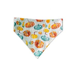Pumpkins Over the Collar Dog Bandana That Slips onto Their Existing Collar Size (Small)