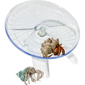 Funny Hermit Crab Running Wheel Climb Toy, Hamster Reptiles Running Flying Wheel Saucer, Cute Running Wheel for Guinea Pig Small Pet Animals Tree Frog Hamster Lizard Salamander Hermit Crab (White) in Kuwait