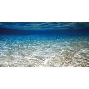 AWERT 30x18 inches Ocean Floor Aquarium Background Underwater Fish Tank Background Undersea Theme Aquarium Background
