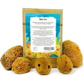Naroa Natural Hermit Crab Sponges | Unbleached Sea Sponge for Water Drinking Safety | Aquarium Decor Balance Tank Humidity | Crab Supplies Accessories 5 Pack