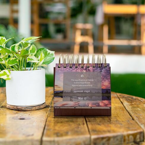 MESMOS Perpetual Desk Calendar with 366 Mindfulness Self Care Quotes, Cute Desk Accessories & Office Decor for Women, Relaxing & Inspirational Gifts for Women, Anxiety Relief Items, Desk Decorations in Kuwait