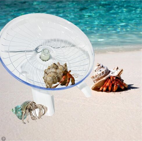 لعبة تسلق عجلة الجري السلطعون الناسك المضحكة، زواحف الهامستر التي تعمل على صحن العجلة الطائرة، عجلة جري لطيفة لخنزير غينيا، الحيوانات الأليفة الصغيرة، شجرة الضفدع، الهامستر، السحلية، سرطان البحر الناسك (أبيض) in Kuwait