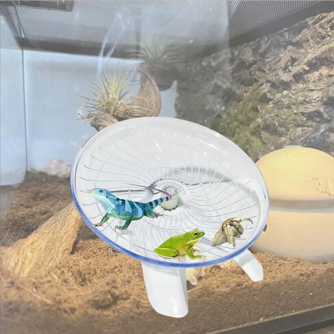 لعبة تسلق عجلة الجري السلطعون الناسك المضحكة، زواحف الهامستر التي تعمل على صحن العجلة الطائرة، عجلة جري لطيفة لخنزير غينيا، الحيوانات الأليفة الصغيرة، شجرة الضفدع، الهامستر، السحلية، سرطان البحر الناسك (أبيض) in Kuwait