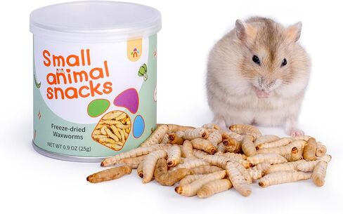 Niteangel Small Animal Snack & Treats Toy - Small Critter Natural Treat for Dwarf Syrian Robo Hamsters Gerbils Mice Lemmings Sugar Glider Hedgehogs Chickens Birds or Other Small-Sized Pets in Kuwait