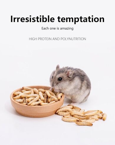 Niteangel Small Animal Snack & Treats Toy - Small Critter Natural Treat for Dwarf Syrian Robo Hamsters Gerbils Mice Lemmings Sugar Glider Hedgehogs Chickens Birds or Other Small-Sized Pets in Kuwait