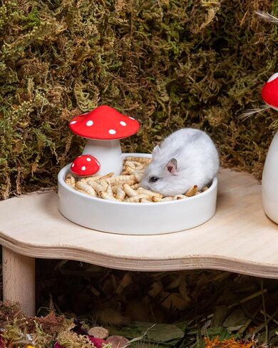 Niteangel Small Animal Snack & Treats Toy - Small Critter Natural Treat for Dwarf Syrian Robo Hamsters Gerbils Mice Lemmings Sugar Glider Hedgehogs Chickens Birds or Other Small-Sized Pets in Kuwait