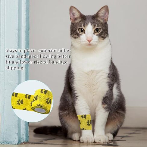 16 لفة ذاتية اللصق ضمادة التفاف لا مضغ التفاف الطبيب البيطري للكلاب المر متماسكة الكلب مخلب ضمادة للكلاب العناية بالجروح القدم يغطي الإسعافات الأولية الشريط البيطري للحيوانات الاليفة القط الطيور in Kuwait