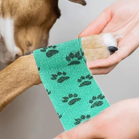 16 لفة ذاتية اللصق ضمادة التفاف لا مضغ التفاف الطبيب البيطري للكلاب المر متماسكة الكلب مخلب ضمادة للكلاب العناية بالجروح القدم يغطي الإسعافات الأولية الشريط البيطري للحيوانات الاليفة القط الطيور in Kuwait