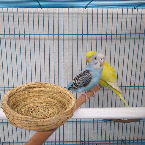 4 Pcs Bird Nest Handmade Woven Flat Base Bird Nest Breeding Nest Small Animal Bed House Bird Cage Accessories for Dove Pigeon Parrot Budgie Parakeet Cockatiel Hamster Gerbil Pig (8.66 Inch) in Saudi Arabia
