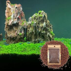 Fresh Water Live Aquarium Plant Seeds, Easy Growing, Dwarf Carpet Decor for Fish Tank/Terrarium - 1 Pack (Love Grass)