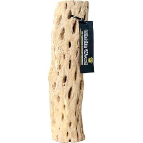 Galápagos (05271) Cholla Wood - Natural Aquarium & Terrarium Decoration for Fish Tanks, Reptile Tanks, and Bird Perches, 12", Natural