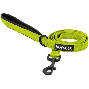 Voyager Reflective Dog Leash with Neoprene Handle, 6ft Long, Supports Small, Medium, and Large Breed Puppies, Cute and Heavy Duty for Walking, Running, and Training - Lime, L