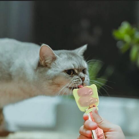 3 Pack Cat Happy Spoon, Cat Food Treat Spoon, Pet Strip Feeder Squeeze Scoop,2 in 1 Cat Puree Bisque Bar Dispenser Food Storage for Wet Food Liquid Snack, Multifunctional Pet Feeding Supplies in Saudi Arabia