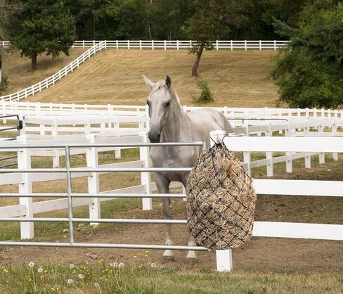 HIRQUITICKE 3 Pack Hay Nets for Horses Slow Feed - Feeding Holes 2" - Horse Supplies Hay Bags Feeder Goats in Saudi Arabia