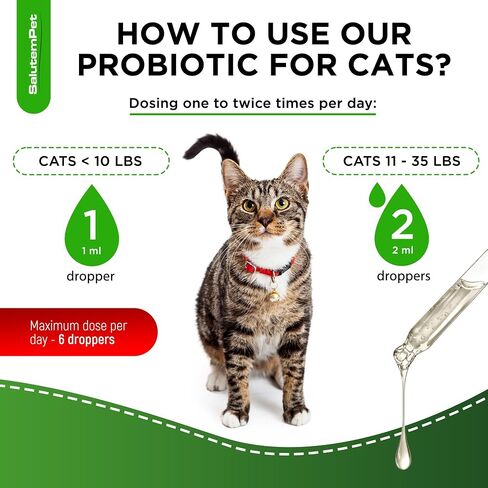 Cat Probiotic | Cat Probiotic Supplement | Cat Digestive Support | Enzymes for Cats | Probiotic for Cats | Prebiotic for Cats in a Liquid Form | Aged Cats and Kitty Probiotics | 3 Pack х 2 Oz in Saudi Arabia