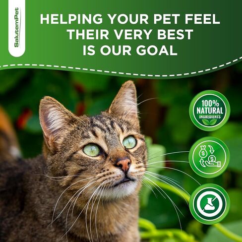 Cat Probiotic | Cat Probiotic Supplement | Cat Digestive Support | Enzymes for Cats | Probiotic for Cats | Prebiotic for Cats in a Liquid Form | Aged Cats and Kitty Probiotics | 3 Pack х 2 Oz in Saudi Arabia