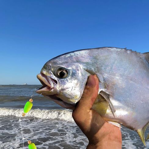 Pompano Rigs for Surf Fishing,4 Packs Pompano Rig with Circle Hooks Surf Fishing Pompano Floats Saltwater Fishing Rigs in Saudi Arabia