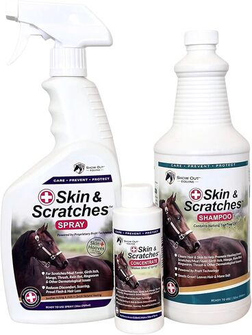 Show Out Skin & Scratches 4 oz Concentrate - Fast Relief and Prevention for Horse Care. Use on Equine Scratches/Mud Fever, Girth Itch, Mange, Thrush, Rain Rot, Ringworm, etc w/Empty Spray Bottle in Saudi Arabia
