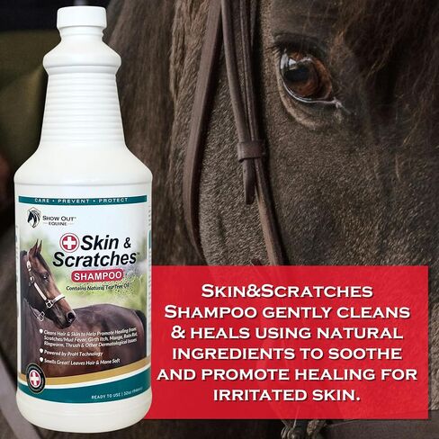 Show Out Skin & Scratches 4 oz Concentrate - Fast Relief and Prevention for Horse Care. Use on Equine Scratches/Mud Fever, Girth Itch, Mange, Thrush, Rain Rot, Ringworm, etc w/Empty Spray Bottle in Saudi Arabia