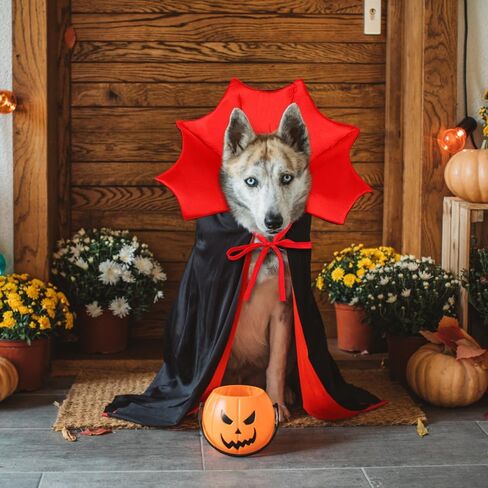 Halloween Cat Costume Vampire Cape for Small Medium Dogs Cats Witch Cloak in Saudi Arabia