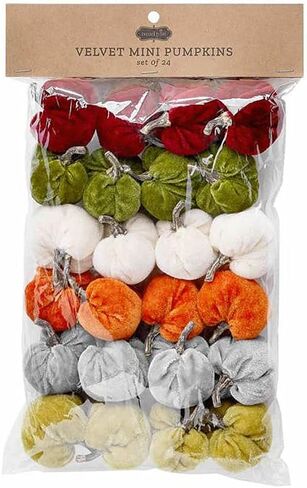 Mud Pie Velvet Mini Pumpkin Set, 2 1/2" x 2" Dia in Kuwait