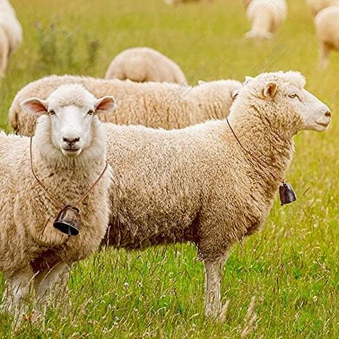 24 قطعة جرس نحاسي للرعي، جرس حيوانات المزرعة البرونزي، أجراس معدنية للبقرة والأغنام والحصان للحيوانات الأليفة للماشية والماعز والقطط والكلاب، ملحقات مضادة للسرقة، مقبض الباب، زينة عيد الميلاد in Kuwait