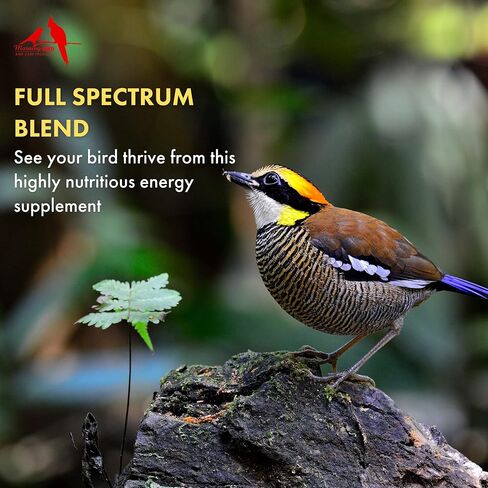 Morning Bird Thrive، مكمل طاقة مغذية بالمعادن والفيتامينات والأحماض الأمينية والإلكتروليتات والبروتين، 1 أونصة in Saudi Arabia