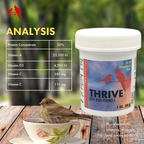 Morning Bird Thrive، مكمل طاقة مغذية بالمعادن والفيتامينات والأحماض الأمينية والإلكتروليتات والبروتين، 1 أونصة in Saudi Arabia