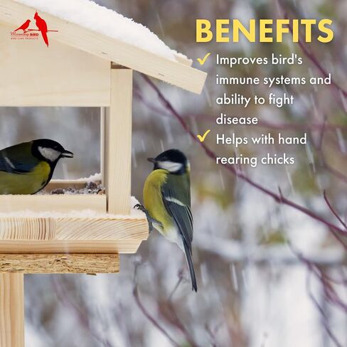 Morning Bird Thrive، مكمل طاقة مغذية بالمعادن والفيتامينات والأحماض الأمينية والإلكتروليتات والبروتين، 1 أونصة in Saudi Arabia