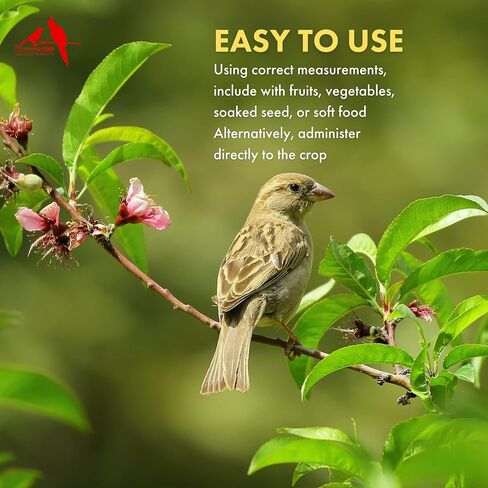 Morning Bird Thrive، مكمل طاقة مغذية بالمعادن والفيتامينات والأحماض الأمينية والإلكتروليتات والبروتين، 1 أونصة in Saudi Arabia