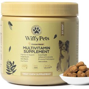 علاج الفيتامينات المتعددة للكلاب 11 في 1 من Wiffy Pets، فيتامينات ومكملات للكلاب، مكمل للكلاب الصغيرة والمتوسطة والكبيرة، خليط فيتامين للبشرة والمعطف + تعزيز المناعة | 90 قطعة، نكهة الدجاج