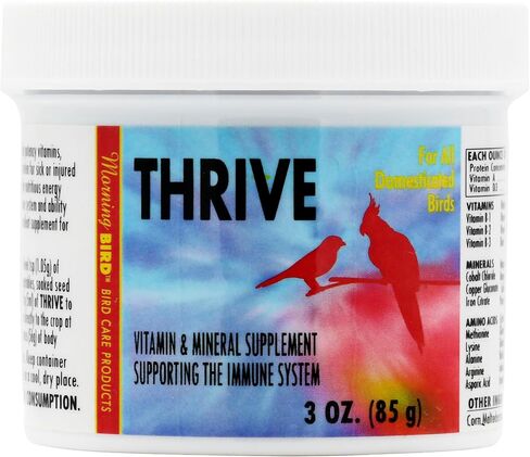 Morning Bird Thrive، مكمل طاقة مغذية بالمعادن والفيتامينات والأحماض الأمينية والإلكتروليتات والبروتين، 1 أونصة in Saudi Arabia