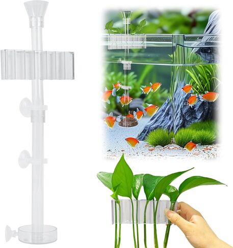 Shrimp Feeding Dish Set with Aquarium Plant Holder, 7 Hole Acrylic Transparent Aquarium Planter Holder, Clear Durable Fish Shrimp Feeding Tube Kit, Fish Tank Decorations(1 Set) in Saudi Arabia