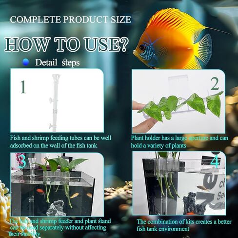 Shrimp Feeding Dish Set with Aquarium Plant Holder, 7 Hole Acrylic Transparent Aquarium Planter Holder, Clear Durable Fish Shrimp Feeding Tube Kit, Fish Tank Decorations(1 Set) in Saudi Arabia
