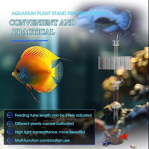 Shrimp Feeding Dish Set with Aquarium Plant Holder, 7 Hole Acrylic Transparent Aquarium Planter Holder, Clear Durable Fish Shrimp Feeding Tube Kit, Fish Tank Decorations(1 Set) in Saudi Arabia