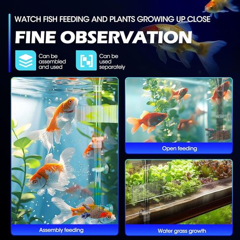 Shrimp Feeding Dish Set with Aquarium Plant Holder, 7 Hole Acrylic Transparent Aquarium Planter Holder, Clear Durable Fish Shrimp Feeding Tube Kit, Fish Tank Decorations(1 Set) in Saudi Arabia