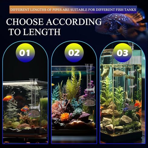 Shrimp Feeding Dish Set with Aquarium Plant Holder, 7 Hole Acrylic Transparent Aquarium Planter Holder, Clear Durable Fish Shrimp Feeding Tube Kit, Fish Tank Decorations(1 Set) in Saudi Arabia
