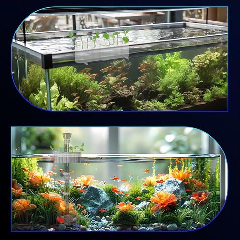 Shrimp Feeding Dish Set with Aquarium Plant Holder, 7 Hole Acrylic Transparent Aquarium Planter Holder, Clear Durable Fish Shrimp Feeding Tube Kit, Fish Tank Decorations(1 Set) in Saudi Arabia