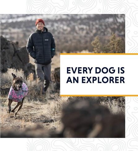 Ruffwear, جوارب Bark'n Boot، جوارب مريحة للكلاب وبطانات أحذية طويلة، بني ترابي، 1.50 بوصة/1.75 بوصة in Saudi Arabia