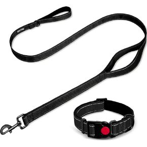 Dog Leash and Collar Set, Dog Leash with Nylon Soft Hand Pad, Adjustable Reinforced Dog Collar for Large Dogs, 5FT, Blue, Large