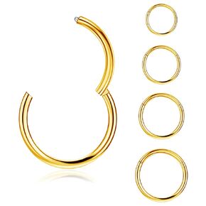 4Pcs Hinged Nose Rings Hoop 16G 18G 20G Nose Rings Hoops for Women 316L Surgical Steel Hinged Clicker Segment Nose Rings Stainless Steel Cartilage Tragus Earrings Piercing Jewelry Gold 18G