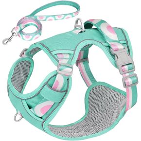 No Pull Dog Harness and Leash Set,Reflective Dog Harness with Easy Control Soft Handle,Adjustable and Comfortable for Easy Walking,Fit Small Medium Large Breed Dogs,Blue,S