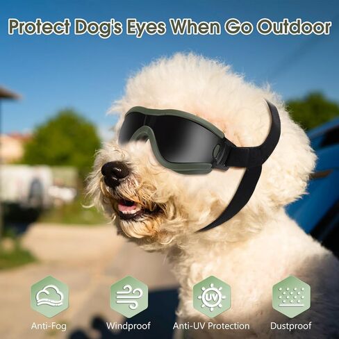 Small Dog Sunglasses, Dog Goggles with Adjustable Strap, UV Protection Dog Goggles Sunglasses Eye Protection Anti-Fog Snowproof Cool Glasses for Puppy Doggy Doggie, Green in Saudi Arabia
