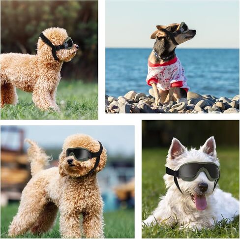 Small Dog Sunglasses, Dog Goggles with Adjustable Strap, UV Protection Dog Goggles Sunglasses Eye Protection Anti-Fog Snowproof Cool Glasses for Puppy Doggy Doggie, Green in Saudi Arabia