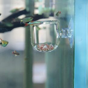 Aquarium Glass Feeding Cone Cup Plant Cup Brine Shrimp Live Red Worm Fish Feeder for Aquariums with Suction