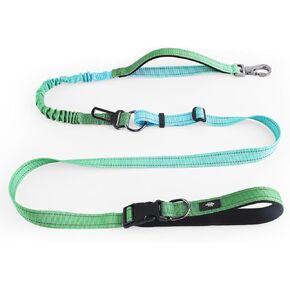 Hands-Free Heavy Duty Bungee Dog Leash, No Pull Running Waist Leash for Walking, Training with Car Seatbelt, Adjustable 4-6FT, Reflective, Dual Handles, Metal Safe Lock (BAYDREAMING)