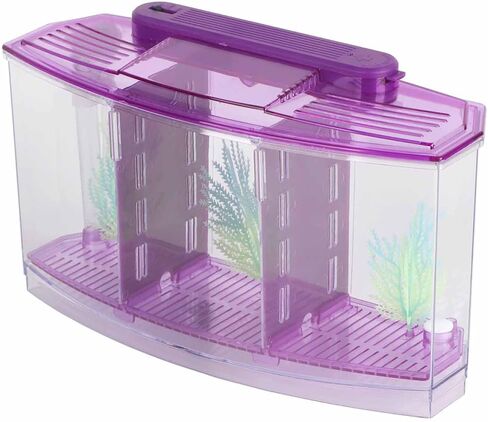 AYNEFY Mini Fish Breeding Box,Aquarium Fish LED Acrylic Three Divisions Small Fishes Isolation Incubator Breeding Hatchery for Guppy Shrimp Clownfish Fishes Betta(Blue) in Saudi Arabia