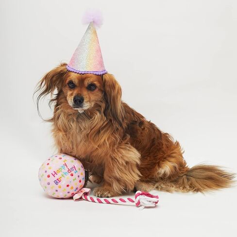 PET LONDON Birthday Pink Balloon Dog Toy - Celebrate Dog's Happy Birthday - Plush Colourful Rainbow Confetti Pattern Dog Party Gift-Perfect Pup Special Day Present-UK Designer Brand-Bday or Adoption in Saudi Arabia
